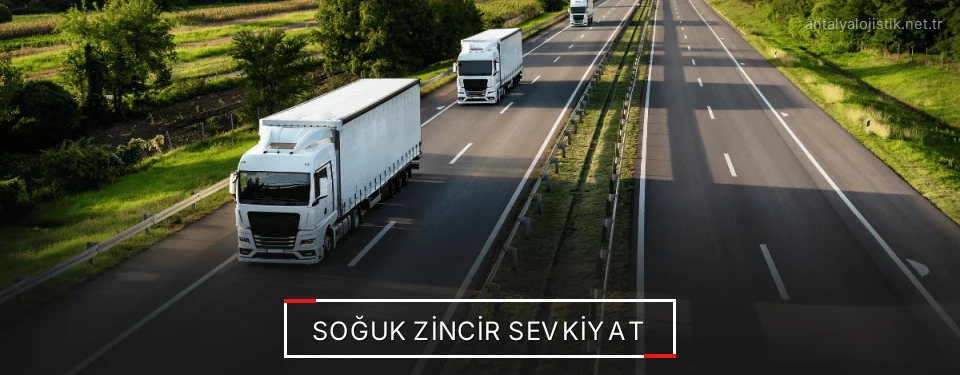Antalya Frigo Taşımacılık Firmaları